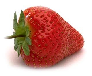 fragola fragola