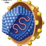 virus