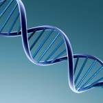DNA-ADN-Psihoghid