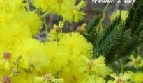 images images