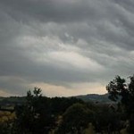 thumb250-700_dettaglio2_temporale